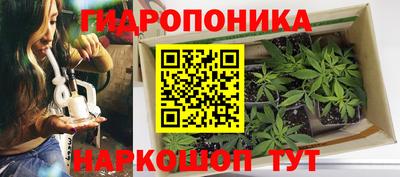 стафф Краснодар