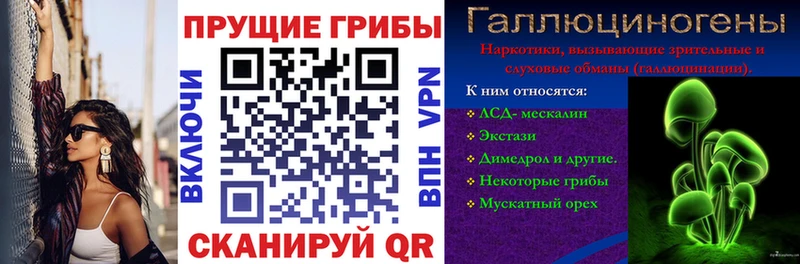 Псилоцибиновые грибы Magic Shrooms Екатеринбург