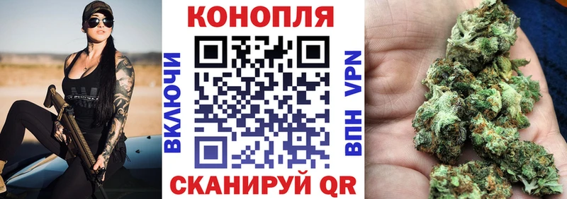 Бошки Шишки Amnesia  где продают   KRAKEN зеркало  Екатеринбург 